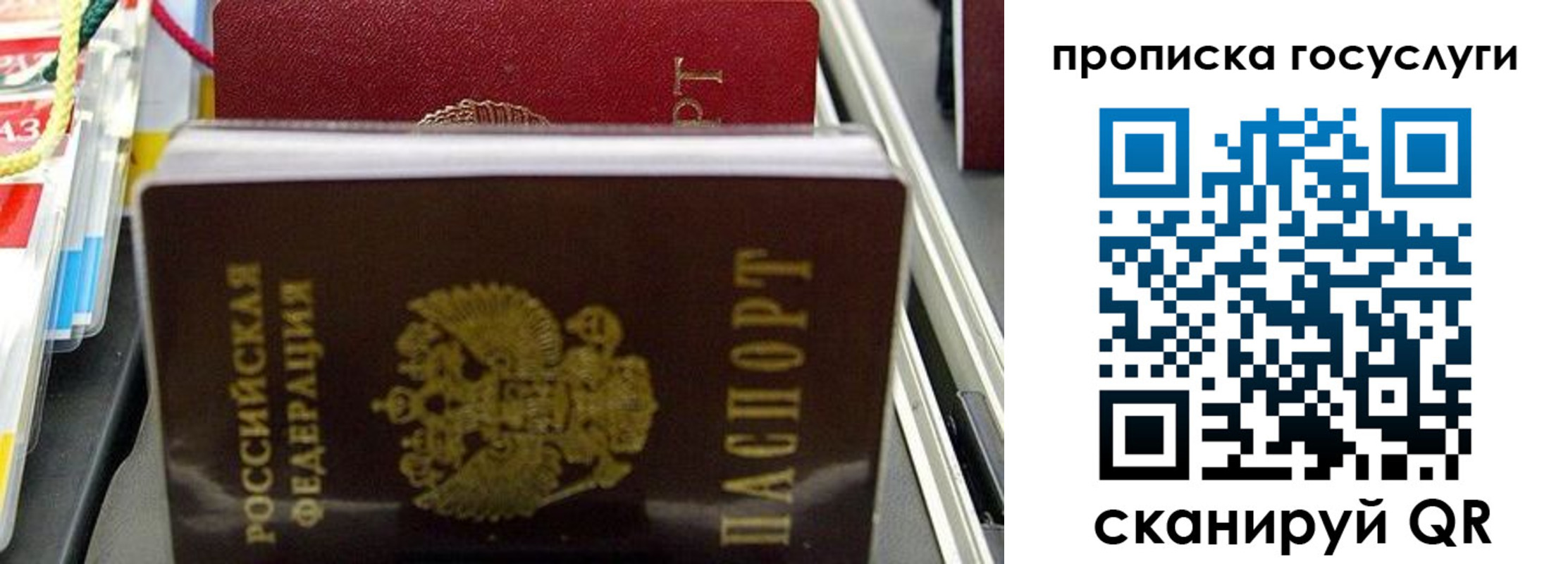 где прописаться в Касимове